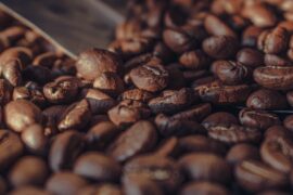 Tendances café 2026 : comment choisir son café de spécialité