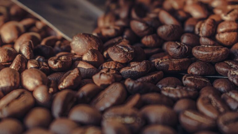 Tendances café 2026 : comment choisir son café de spécialité